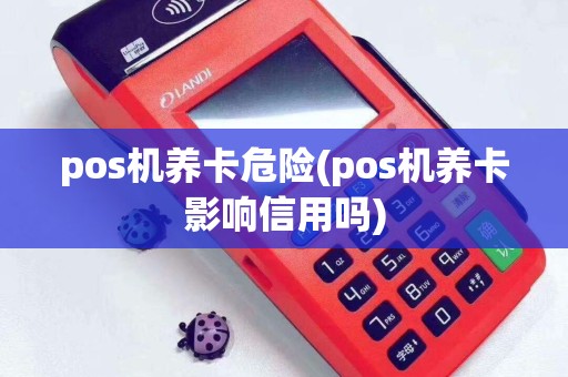 详细阅读:pos机养卡危险(pos机养卡影响信用吗) pos机养卡危险(pos机养卡影响信用吗)