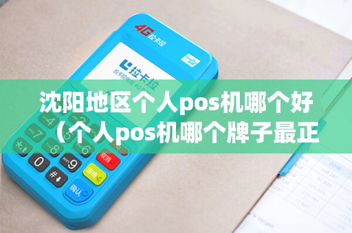 沈阳地区个人pos机哪个好（个人pos机哪个牌子最正规）