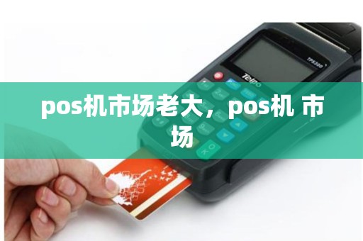 pos机市场老大，pos机 市场