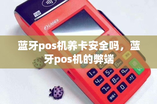 蓝牙pos机养卡安全吗，蓝牙pos机的弊端