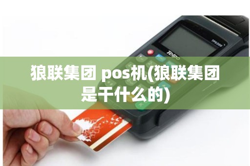狼联集团 pos机(狼联集团是干什么的)