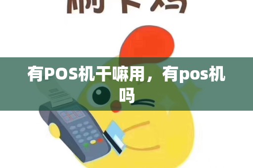 有POS机干嘛用，有pos机吗