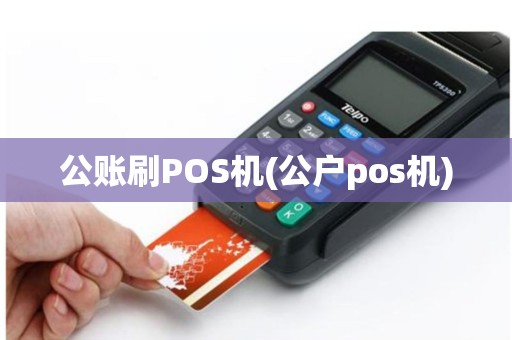 公账刷POS机(公户pos机)
