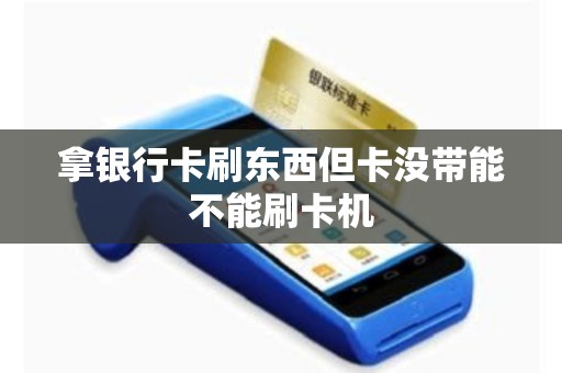 拿银行卡刷东西但卡没带能不能刷卡机