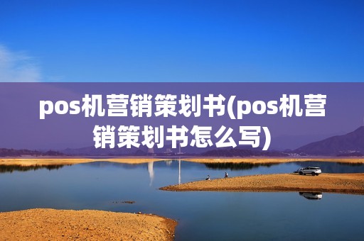 pos机营销策划书(pos机营销策划书怎么写)