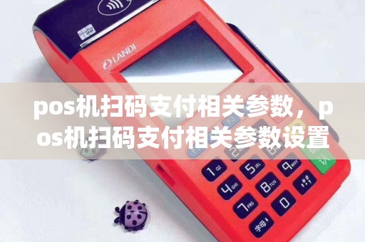 pos机扫码支付相关参数，pos机扫码支付相关参数设置