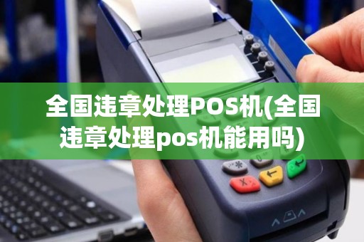 全国违章处理POS机(全国违章处理pos机能用吗)