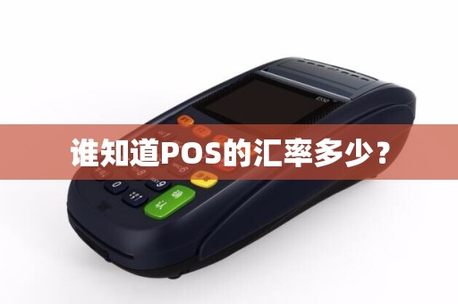 谁知道POS的汇率多少？