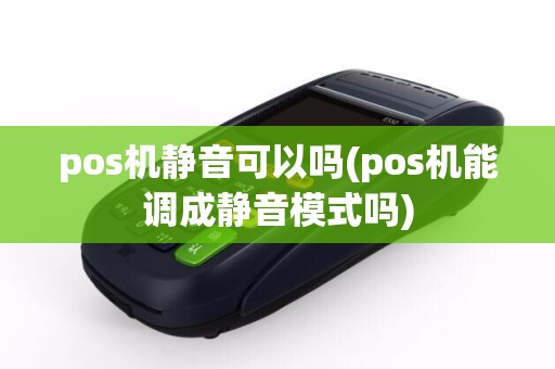 pos机静音可以吗(pos机能调成静音模式吗)