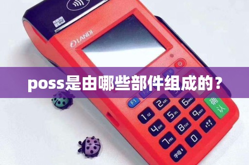 poss是由哪些部件组成的？