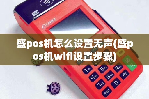 盛pos机怎么设置无声(盛pos机wifi设置步骤)