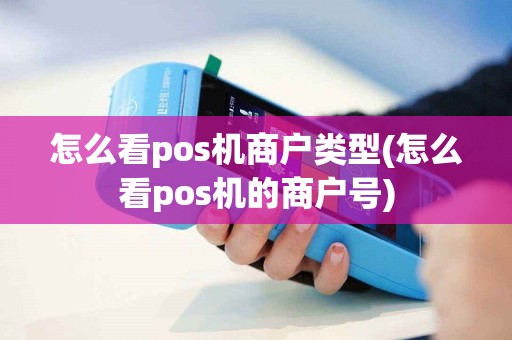 怎么看pos机商户类型(怎么看pos机的商户号)