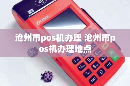 沧州市pos机办理 沧州市pos机办理地点