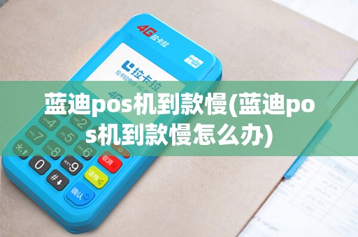 蓝迪pos机到款慢(蓝迪pos机到款慢怎么办)