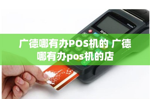 广德哪有办POS机的 广德哪有办pos机的店