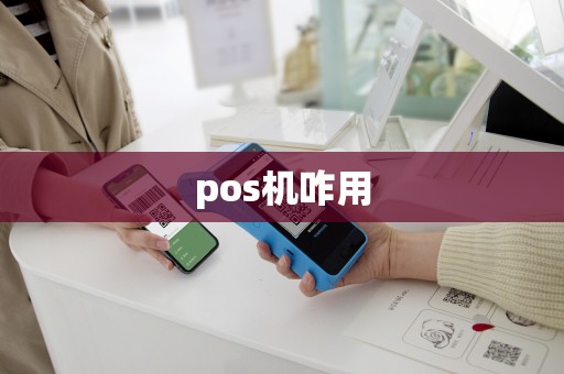 pos机咋用