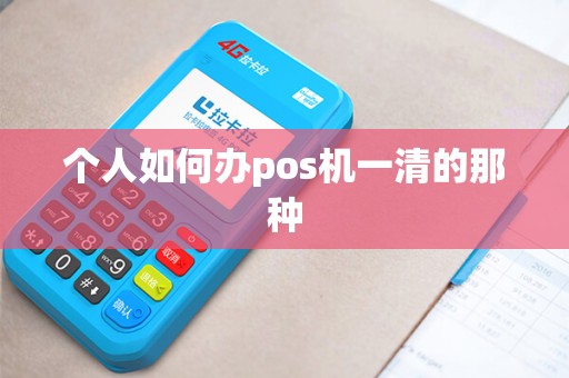 个人如何办pos机一清的那种