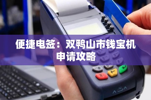便捷电签：双鸭山市钱宝机申请攻略
