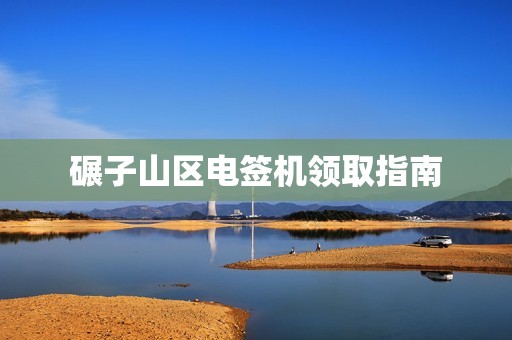碾子山区电签机领取指南