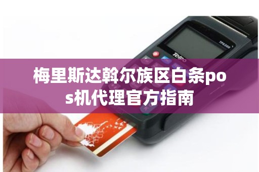 梅里斯达斡尔族区白条pos机代理官方指南