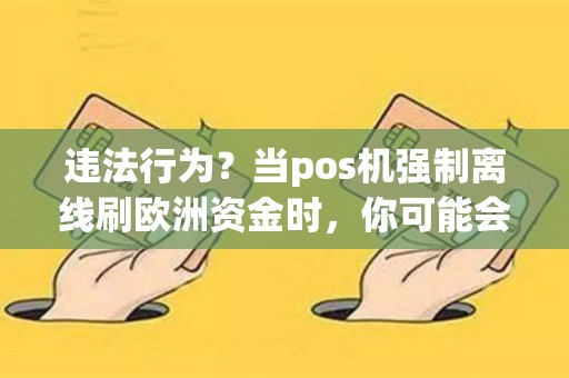 详细阅读:违法行为?当pos机强制离线刷欧洲资金时,你可能会犯下哪些罪行? 违法行为?当pos机强制离线刷欧洲资金时,你可能会犯下哪些罪行?