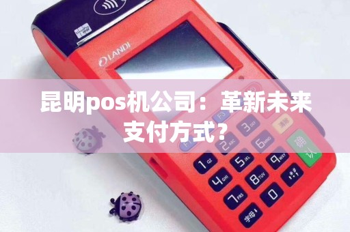 昆明pos机公司：革新未来支付方式？