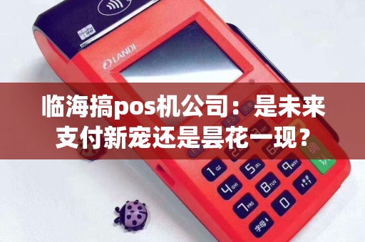 临海搞pos机公司：是未来支付新宠还是昙花一现？