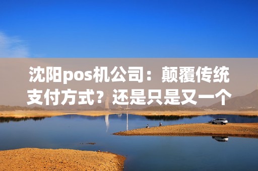 沈阳pos机公司：颠覆传统支付方式？还是只是又一个过眼云烟？