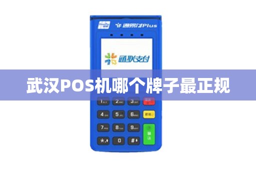 武汉POS机哪个牌子最正规
