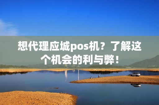想代理应城pos机？了解这个机会的利与弊！