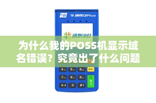 为什么我的POSS机显示域名错误？究竟出了什么问题？