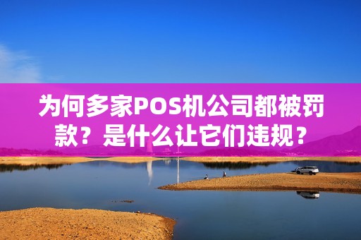 为何多家POS机公司都被罚款？是什么让它们违规？