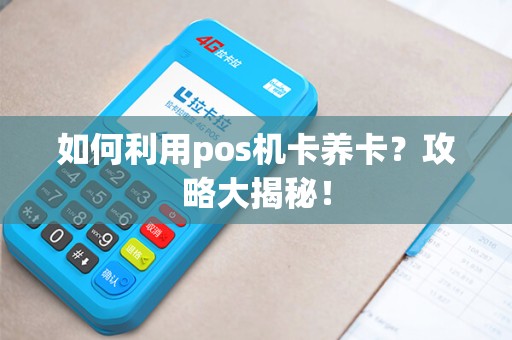 如何利用pos机卡养卡？攻略大揭秘！