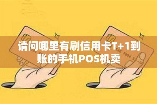 请问哪里有刷信用卡T+1到账的手机POS机卖