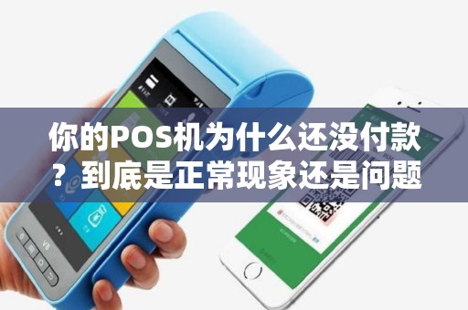 你的POS机为什么还没付款？到底是正常现象还是问题出现了？