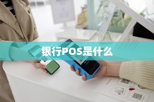 银行POS是什么