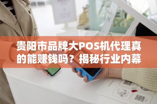 贵阳市品牌大POS机代理真的能赚钱吗？揭秘行业内幕与避坑指南！