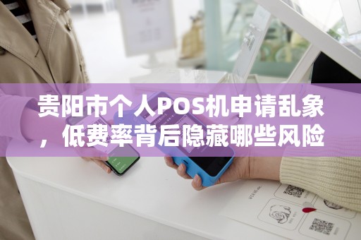 贵阳市个人POS机申请乱象，低费率背后隐藏哪些风险？揭秘品牌POS机的真实内幕