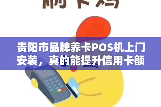 贵阳市品牌养卡POS机上门安装，真的能提升信用卡额度吗？揭秘背后的真相！