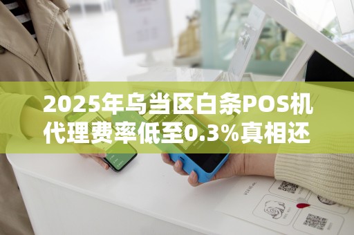 2025年乌当区白条POS机代理费率低至0.3%真相还是套路？