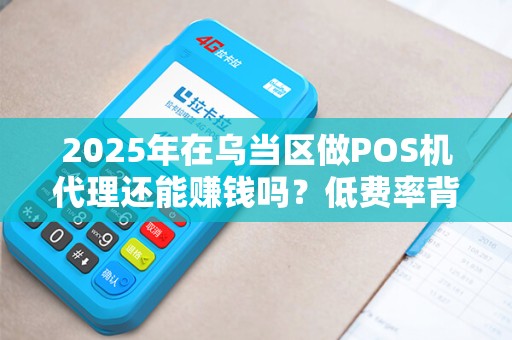 2025年在乌当区做POS机代理还能赚钱吗？低费率背后藏着什么秘密？