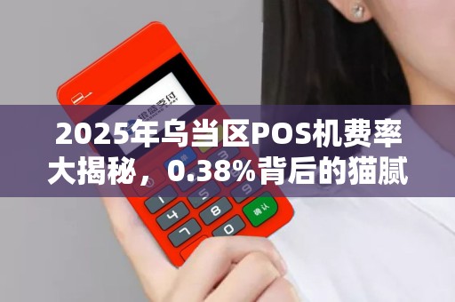 2025年乌当区POS机费率大揭秘，0.38%背后的猫腻你敢信？