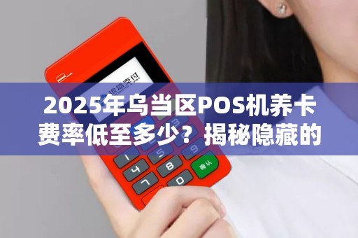 2025年乌当区POS机养卡费率低至多少？揭秘隐藏的省钱技巧！