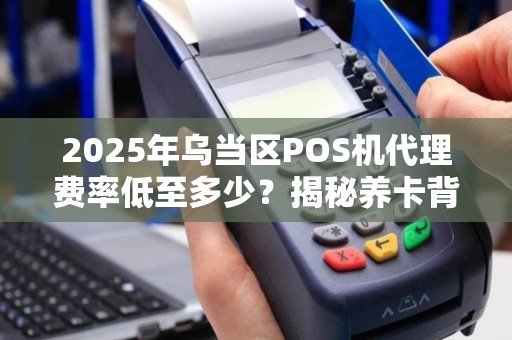 2025年乌当区POS机代理费率低至多少？揭秘养卡背后的惊人利润！