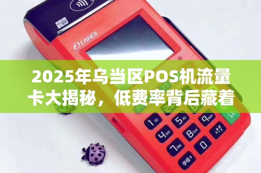 2025年乌当区POS机流量卡大揭秘，低费率背后藏着哪些不为人知的‘坑’