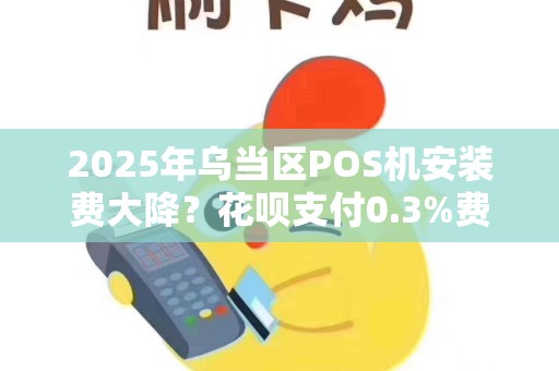 详细阅读:2025年乌当区POS机安装费大降?花呗支付0.3%费率背后藏着什么秘密? 2025年乌当区POS机安装费大降?花呗支付0.3%费率背后藏着什么秘密?