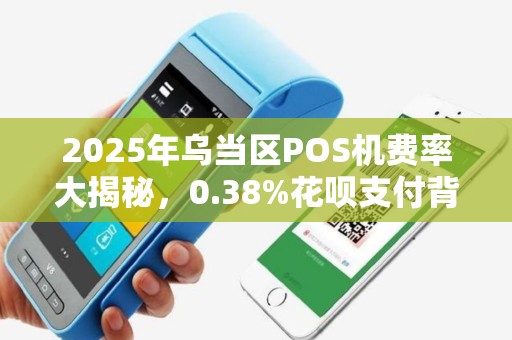 2025年乌当区POS机费率大揭秘，0.38%花呗支付背后藏着什么猫腻？