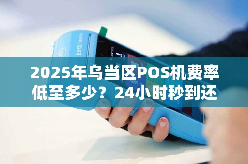 2025年乌当区POS机费率低至多少？24小时秒到还上门安装，真相揭秘！