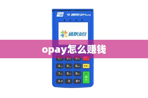 opay怎么赚钱