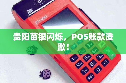 贵阳苗银闪烁，POS账款澄澈！